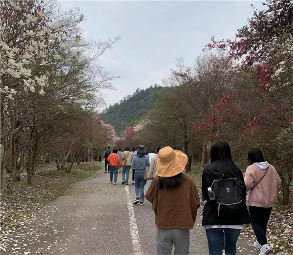 市古鎮(zhèn)投資公司開(kāi)展“三八”國(guó)際勞動(dòng)?jì)D女節(jié)系列慶?；顒?dòng)