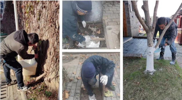 寒潮來襲！井巷物業(yè)在行動！