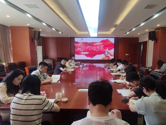 恪守“六大紀(jì)律”，筑牢思想根基--市古鎮(zhèn)投資公司行政黨支部組織開(kāi)展黨記學(xué)習(xí)教育專(zhuān)題黨課