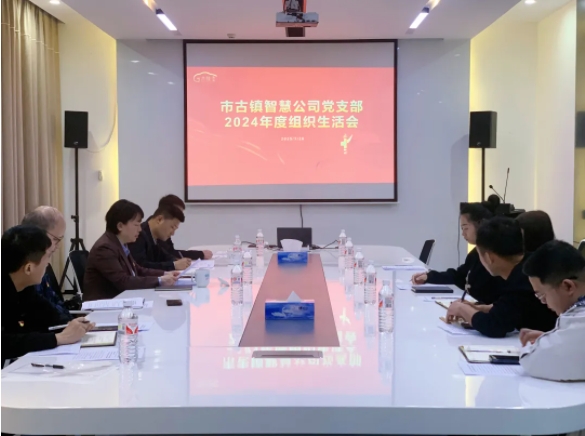 市古鎮(zhèn)投資公司各黨支部召開2024年度組織生活會(huì)