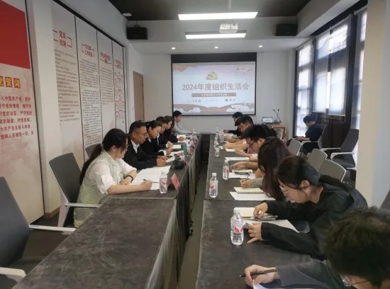 市古鎮(zhèn)投資公司各黨支部召開2024年度組織生活會(huì)