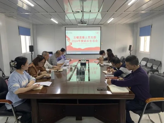 市古鎮(zhèn)投資公司各黨支部召開2024年度組織生活會(huì)