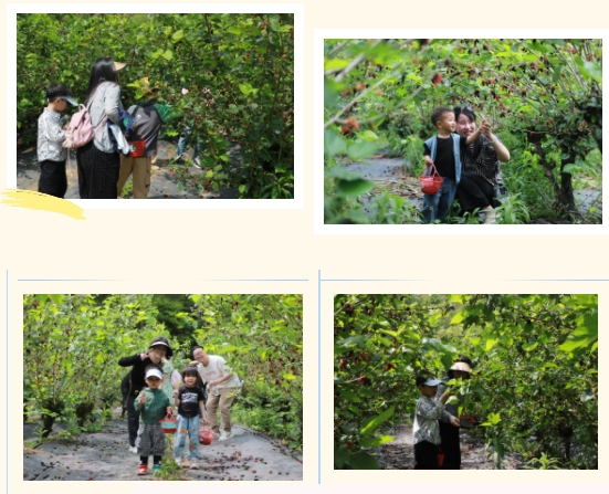 市古鎮(zhèn)投資公司工會組織開展職工親子活動